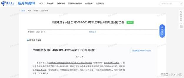 中国电信永州分公司2024-2025年灵工平台采购项目招标